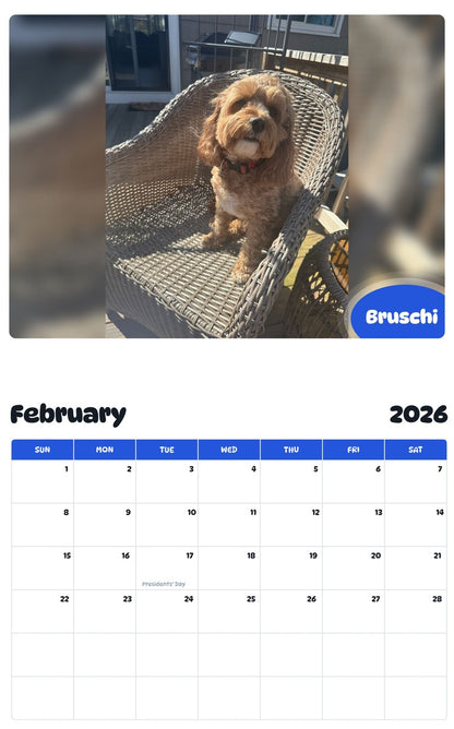 November 2025 - October 2026 Bruschi - Pawidols Pet Calendar