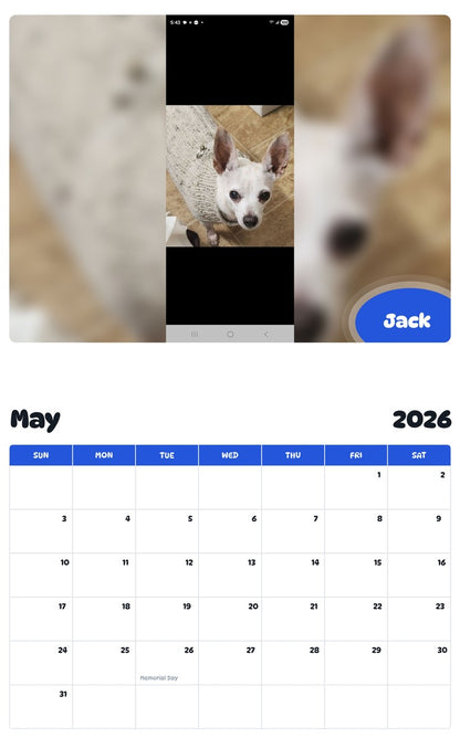 2026 - 2027 Jack - Pawidols Pet Calendar