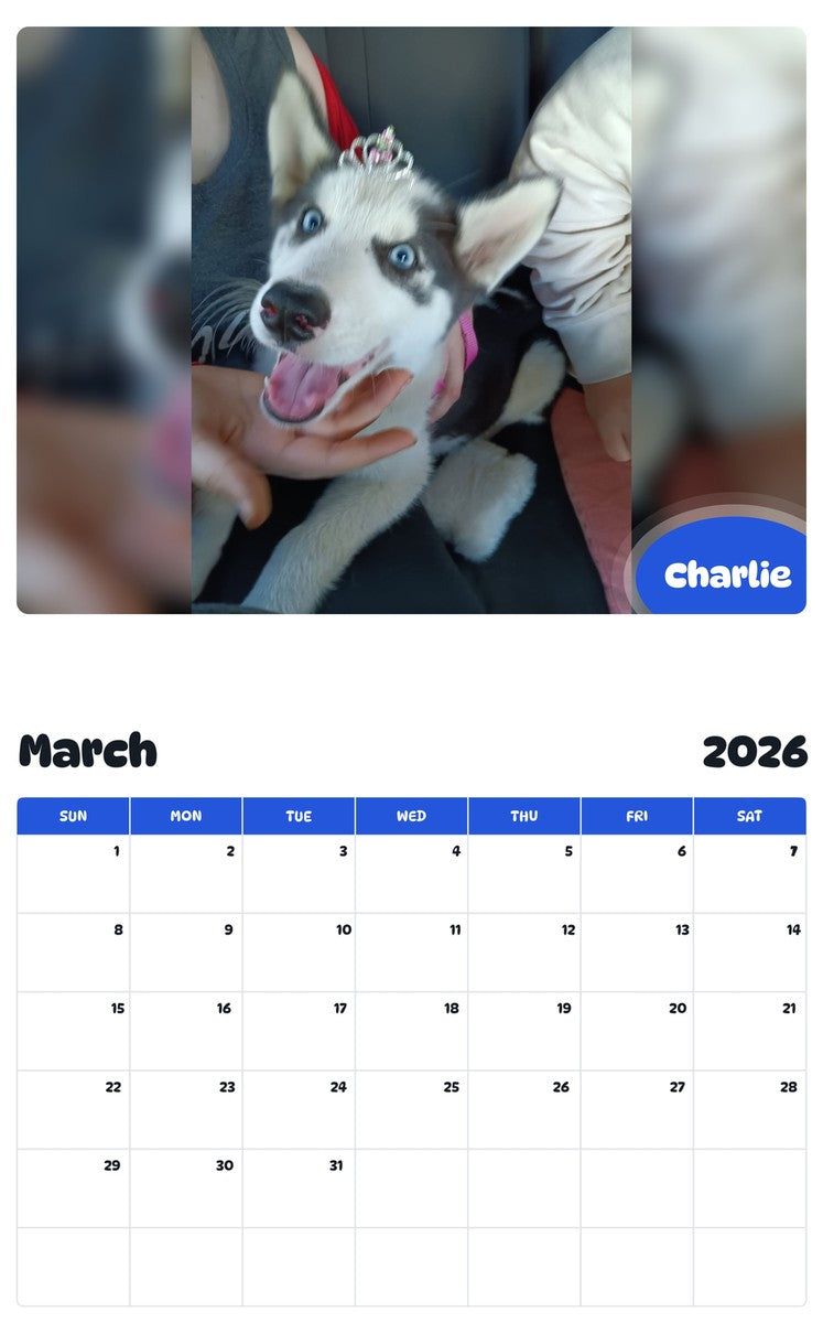 November 2025 - October 2026 Charlie - Pawidols Pet Calendar