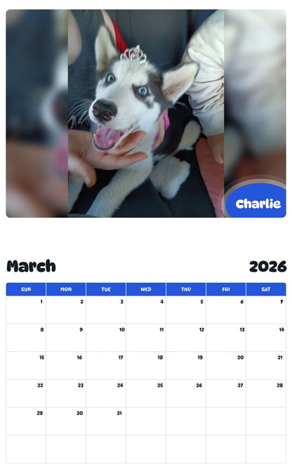 November 2025 - October 2026 Charlie - Pawidols Pet Calendar