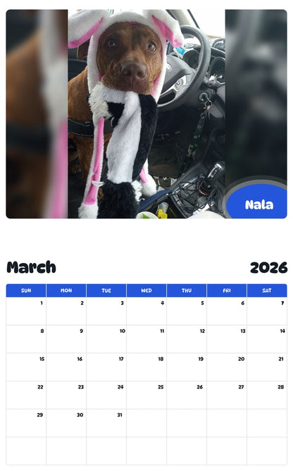 November 2025 - October 2026 Nala - Pawidols Pet Calendar