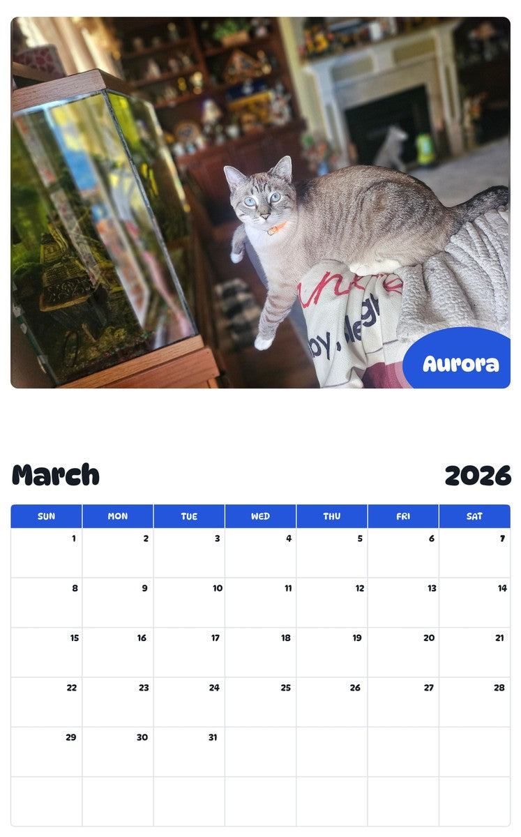 November 2025 - October 2026 Aurora - Pawidols Pet Calendar