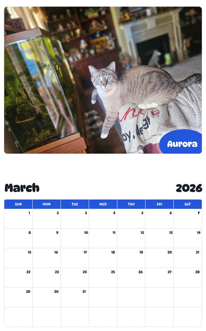 November 2025 - October 2026 Aurora - Pawidols Pet Calendar