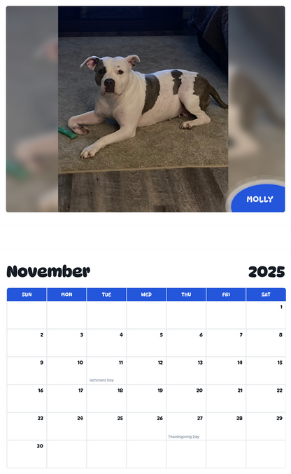 July 2025 - June 2026 Molly - Pawidols Pet Calendar