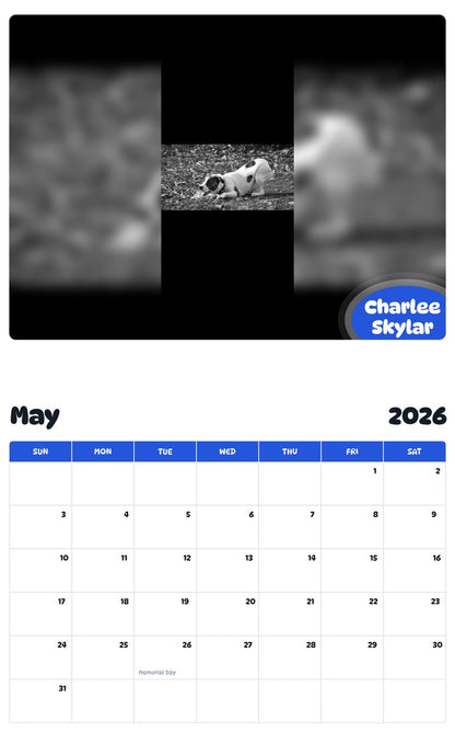 2026 - 2027 Charlee Skylar - Pawidols Pet Calendar
