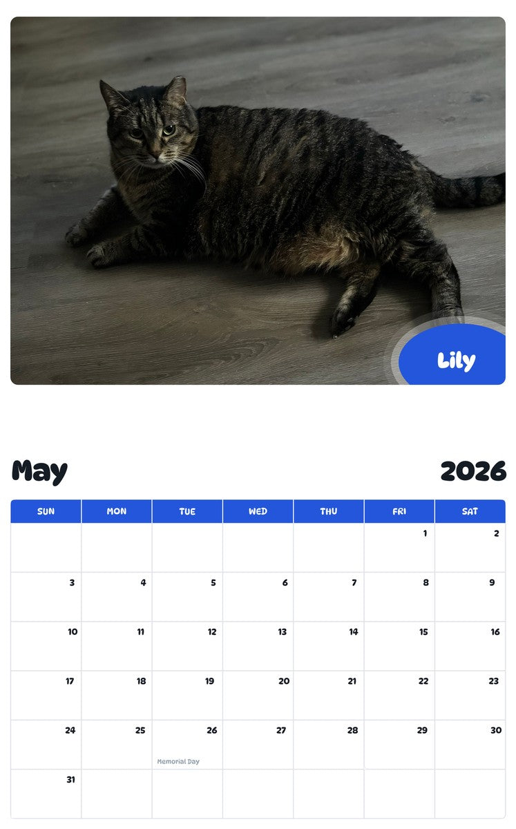 2026 - 2027 Lily - Pawidols Pet Calendar