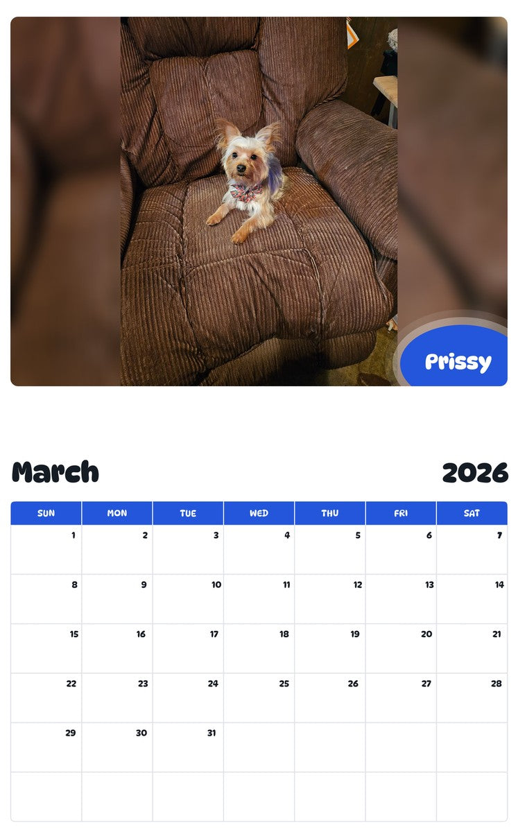 November 2025 - October 2026 Prissy - Pawidols Pet Calendar