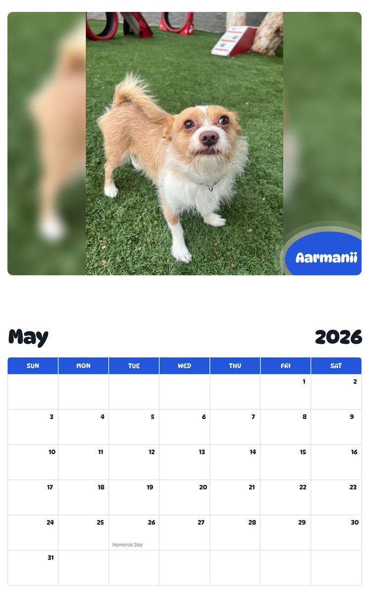 2026 - 2027 Aarmanii - Pawidols Pet Calendar