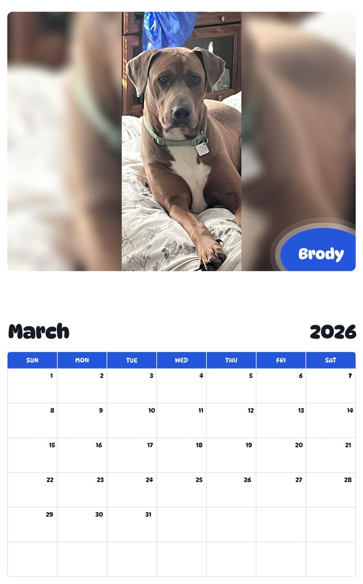 November 2025 - October 2026 Brody - Pawidols Pet Calendar