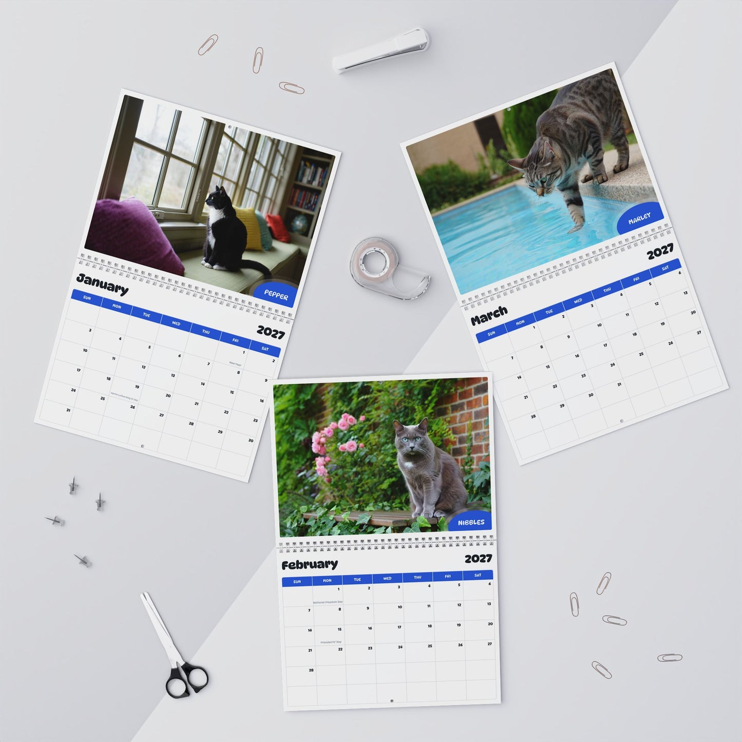 Paw Calendar Cat April 2026 - March 2027