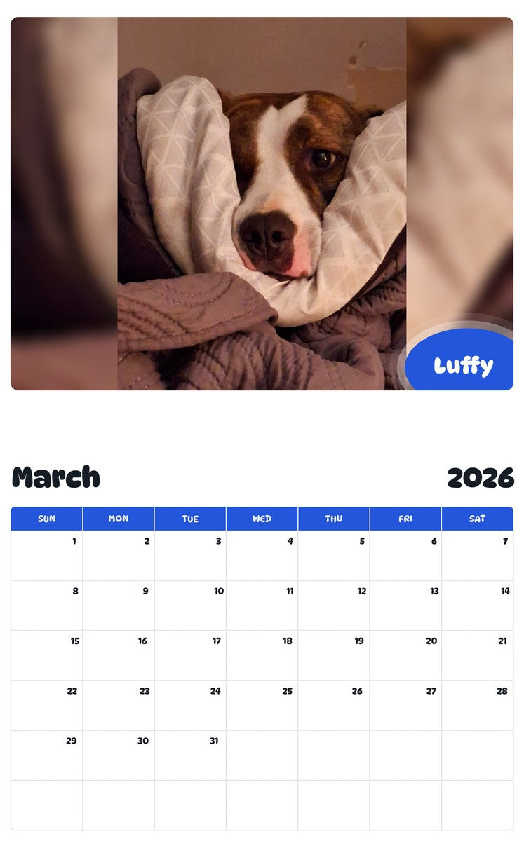 November 2025 - October 2026 Luffy - Pawidols Pet Calendar