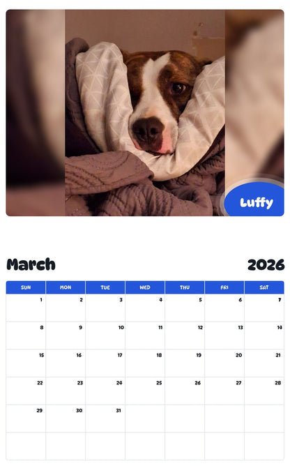 November 2025 - October 2026 Luffy - Pawidols Pet Calendar