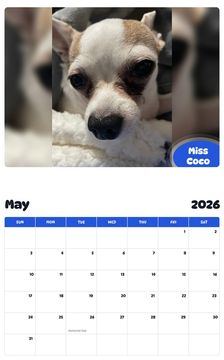 2026 - 2027 Miss Coco - Pawidols Pet Calendar
