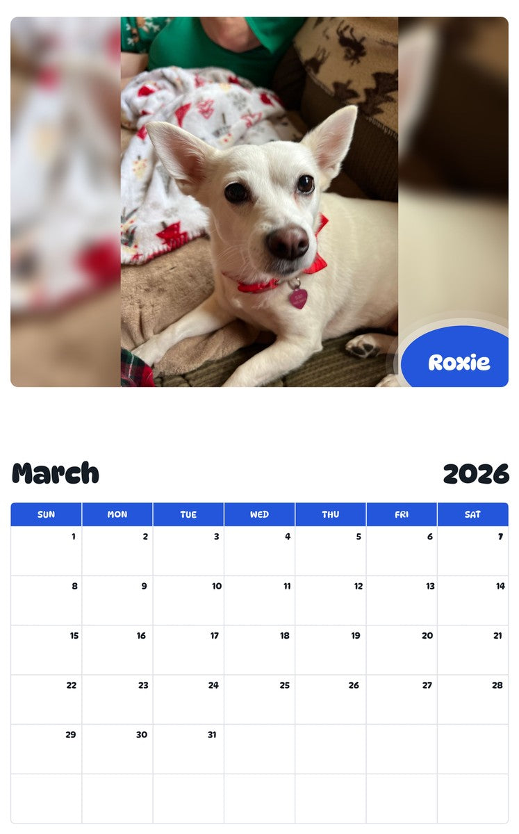 November 2025 - October 2026 Roxie - Pawidols Pet Calendar