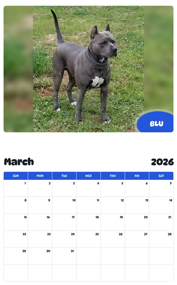 November 2025 - October 2026 BLU - Pawidols Pet Calendar
