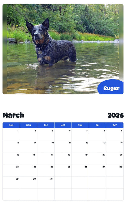 November 2025 - October 2026 Ruger - Pawidols Pet Calendar