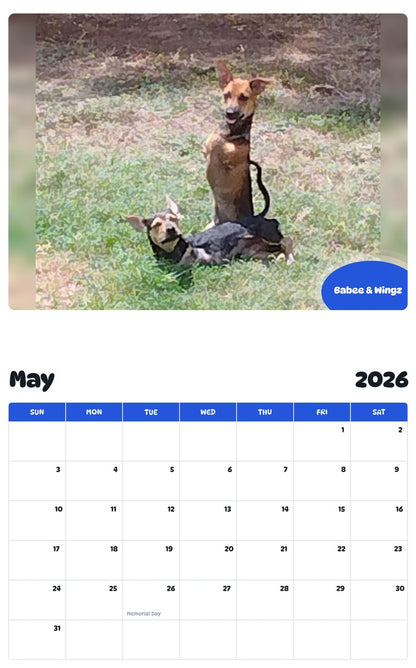 2026 - 2027 Babee & Wingz - Pawidols Pet Calendar