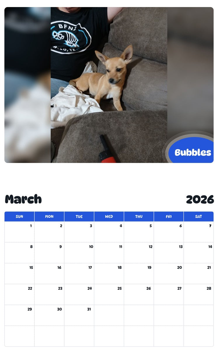 November 2025 - October 2026 Bubbles - Pawidols Pet Calendar