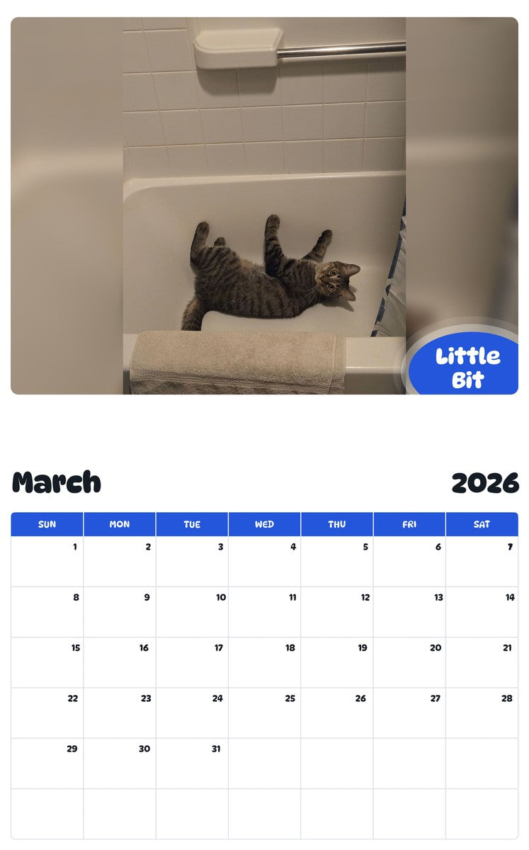 November 2025 - October 2026 Little Bit - Pawidols Pet Calendar