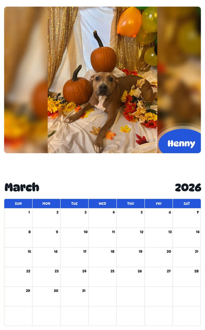 November 2025 - October 2026 Henny - Pawidols Pet Calendar