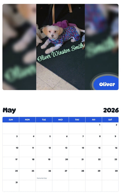 2026 - 2027 Oliver - Pawidols Pet Calendar