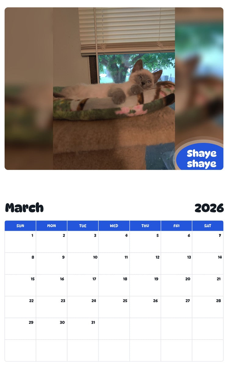 November 2025 - October 2026 Shaye shaye - Pawidols Pet Calendar