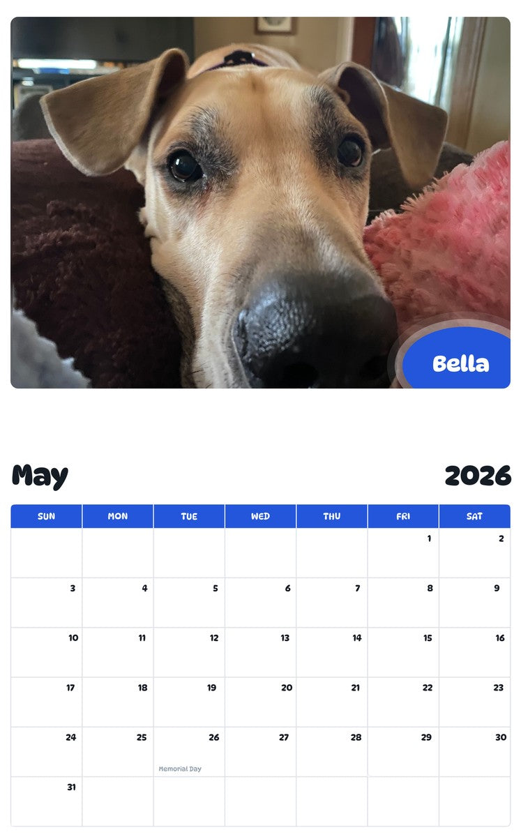 2026 - 2027 Bella - Pawidols Pet Calendar
