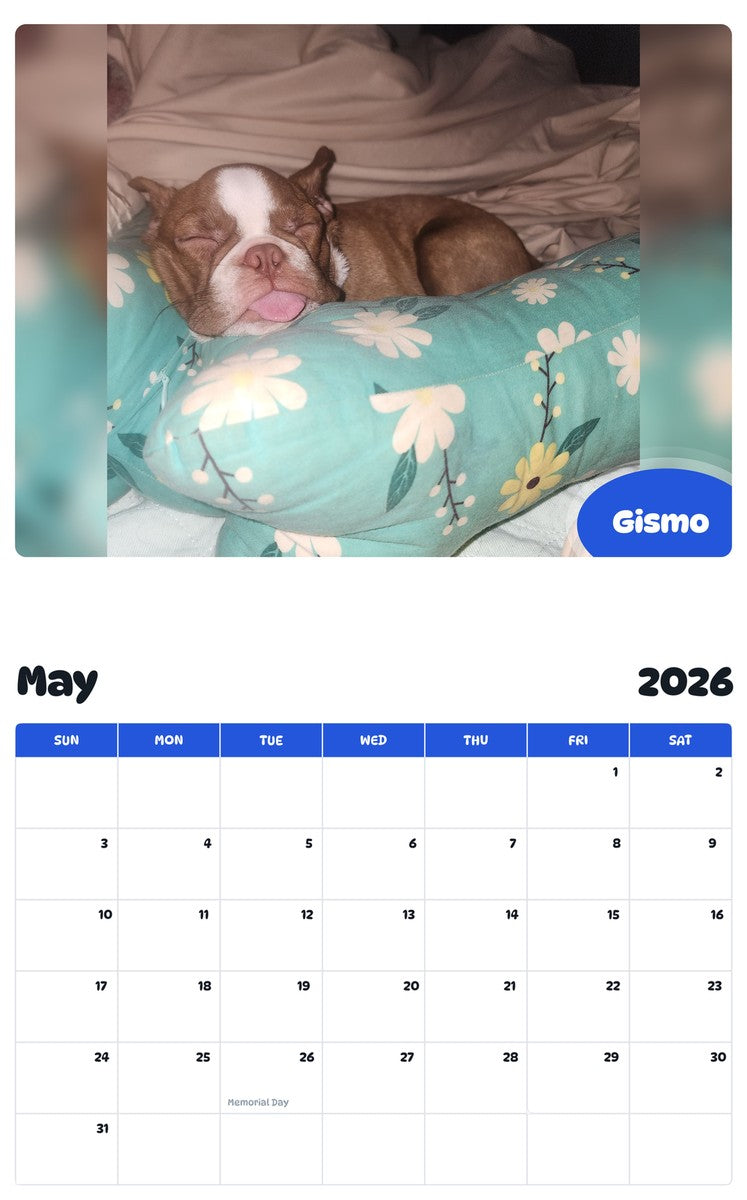 2026 - 2027 Gismo - Pawidols Pet Calendar