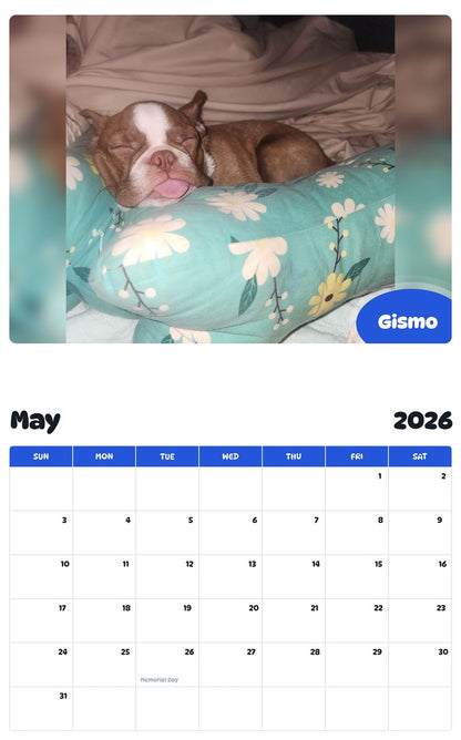 2026 - 2027 Gismo - Pawidols Pet Calendar
