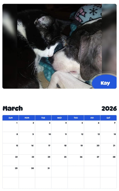 November 2025 - October 2026 Kay - Pawidols Pet Calendar