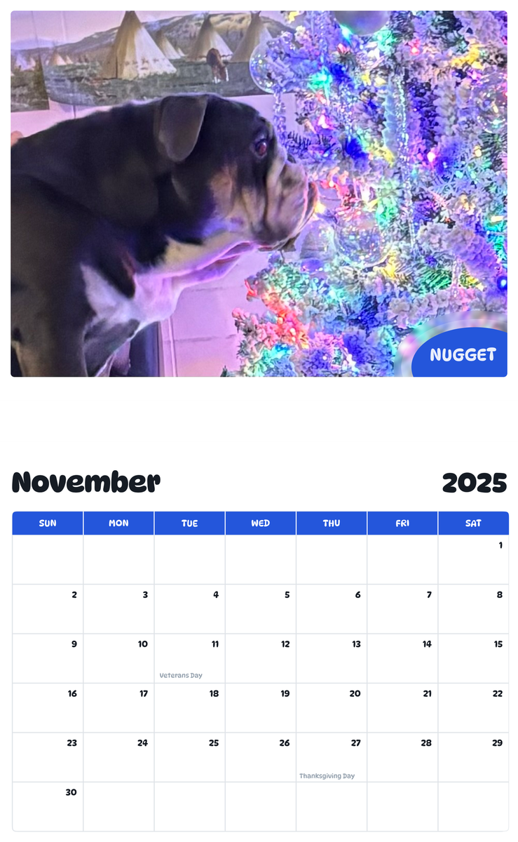 July 2025 - June 2026 Nugget - Pawidols Pet Calendar