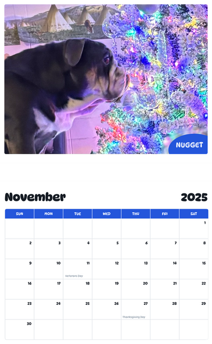 July 2025 - June 2026 Nugget - Pawidols Pet Calendar