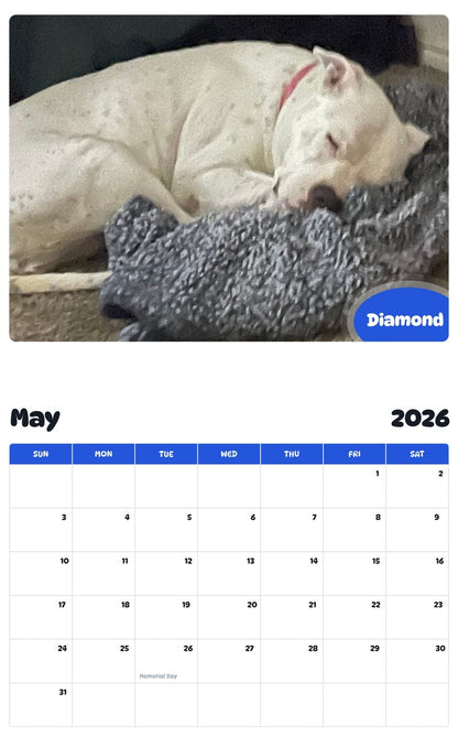 2026 - 2027 Diamond - Pawidols Pet Calendar