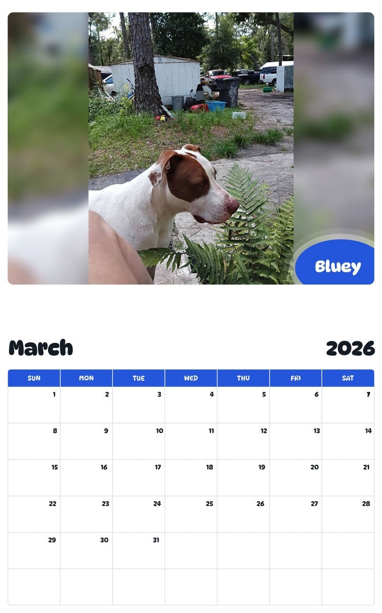 November 2025 - October 2026 Bluey - Pawidols Pet Calendar