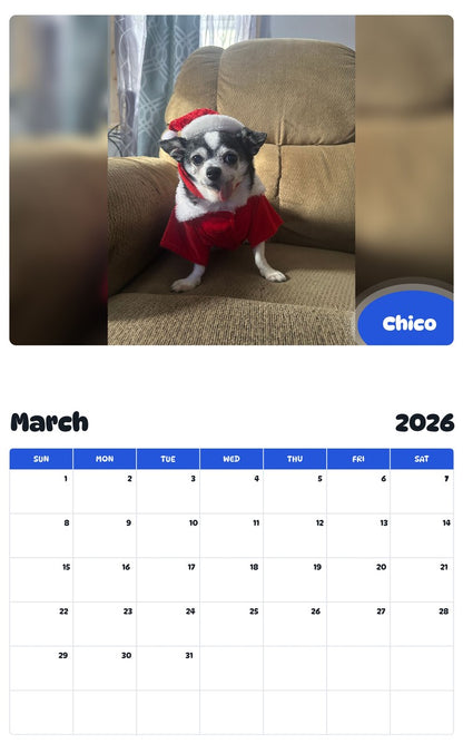 November 2025 - October 2026 Chico - Pawidols Pet Calendar