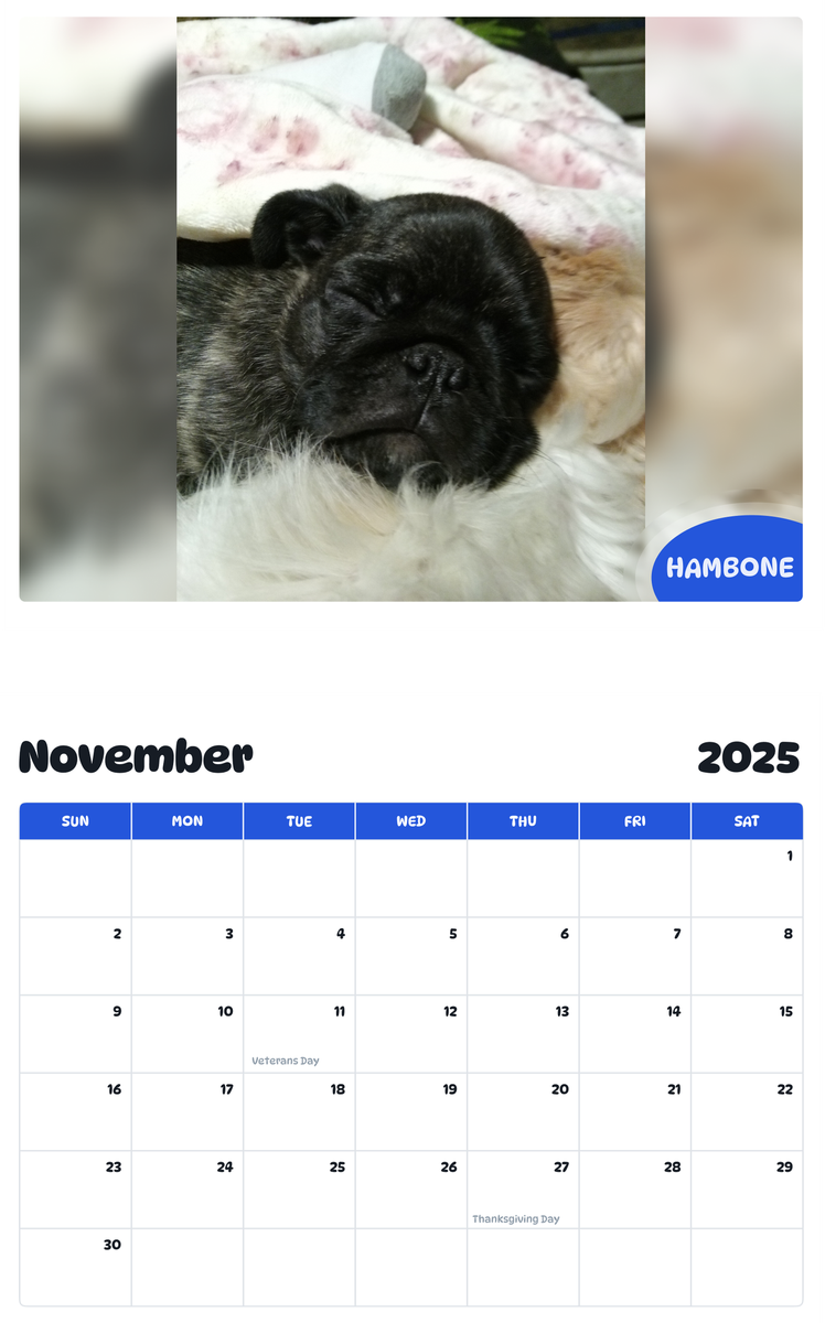 July 2025 - June 2026 Hambone - Pawidols Pet Calendar