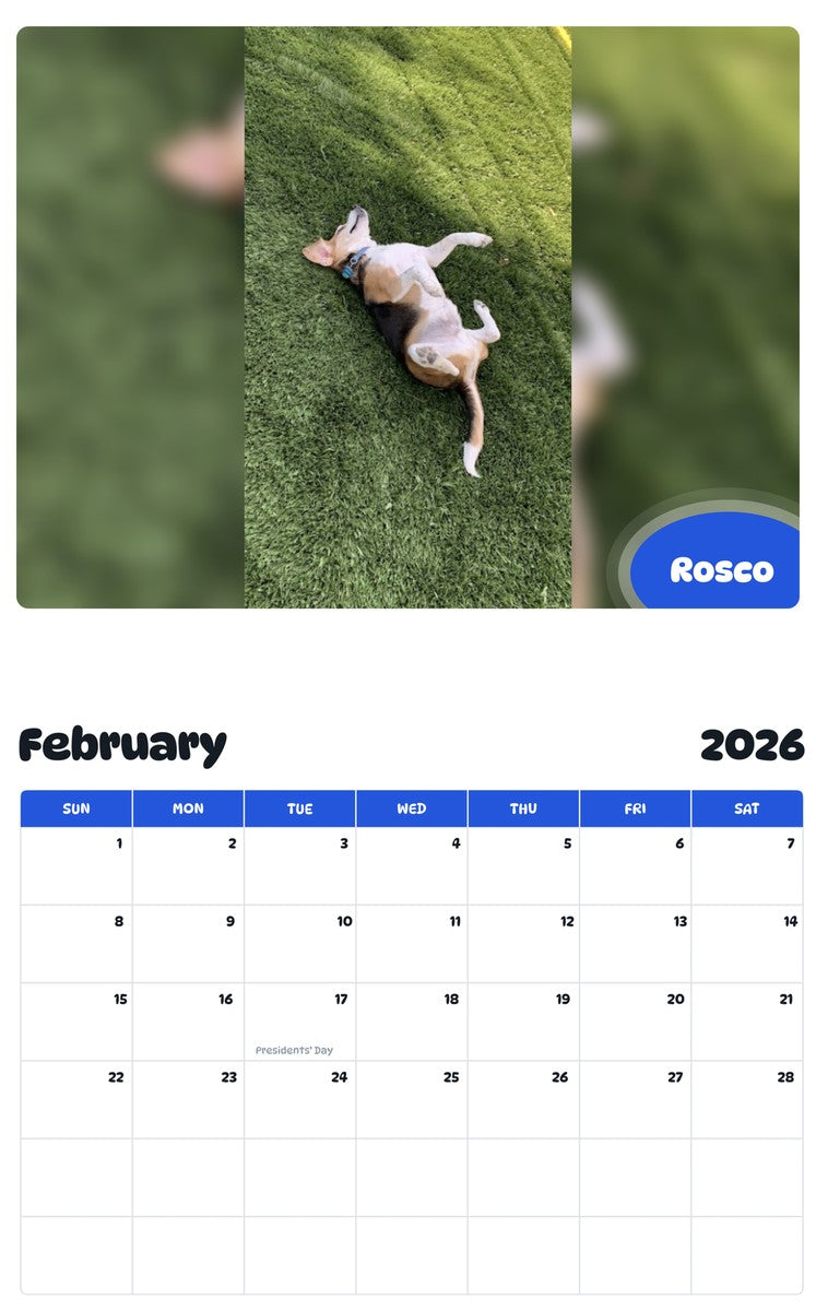 November 2025 - October 2026 Rosco - Pawidols Pet Calendar