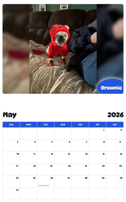 2026 - 2027 Brownie - Pawidols Pet Calendar