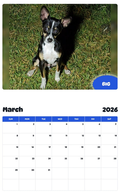 November 2025 - October 2026 BIG - Pawidols Pet Calendar