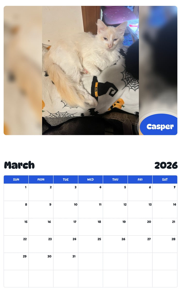 November 2025 - October 2026 Casper - Pawidols Pet Calendar