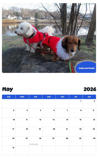 2026 - 2027 Cubby and Bucky - Pawidols Pet Calendar
