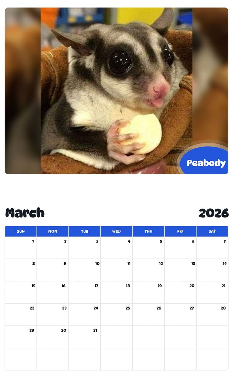 November 2025 - October 2026 Peabody - Pawidols Pet Calendar