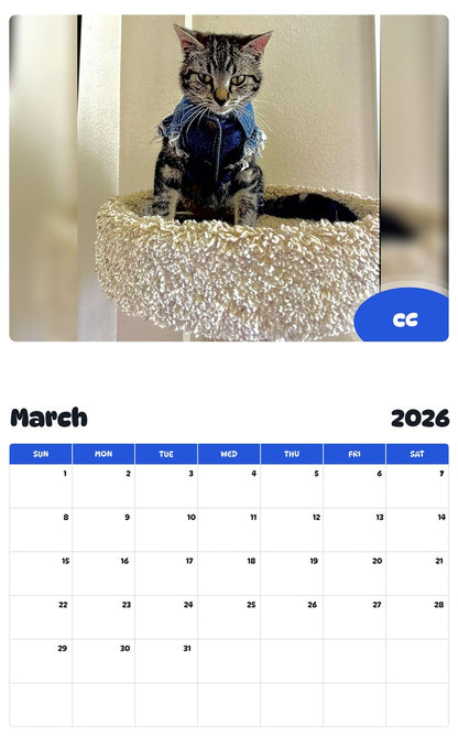November 2025 - October 2026 CC - Pawidols Pet Calendar