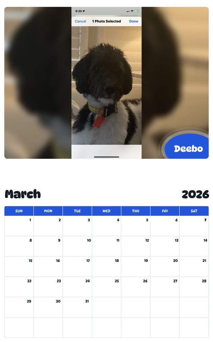November 2025 - October 2026 Deebo - Pawidols Pet Calendar