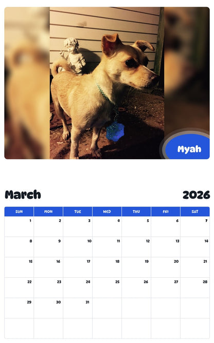 November 2025 - October 2026 Myah - Pawidols Pet Calendar