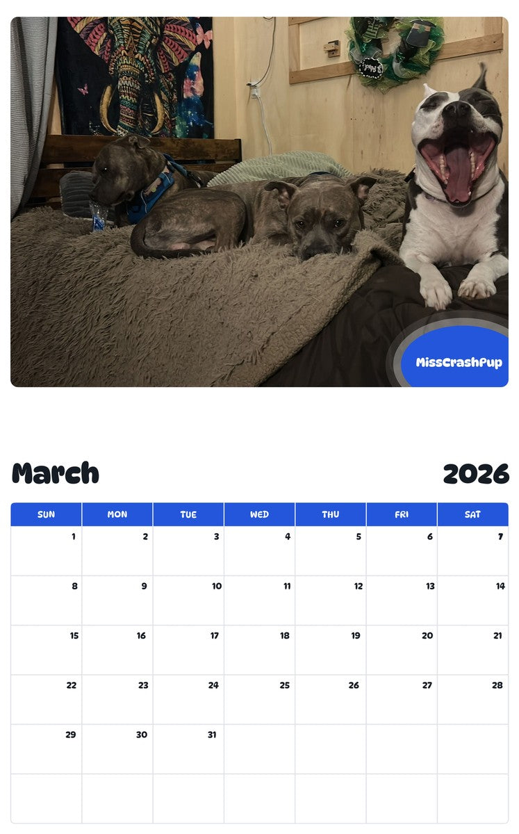 November 2025 - October 2026 MissCrashPup - Pawidols Pet Calendar
