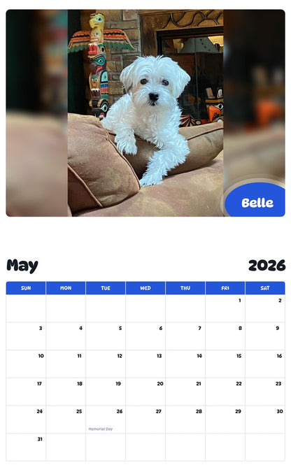 2026 - 2027 Belle - Pawidols Pet Calendar