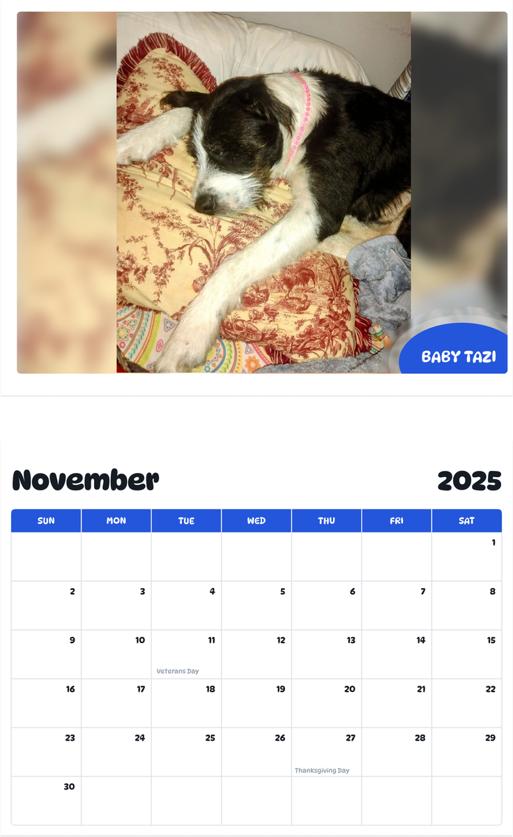 July 2025 - June 2026 Baby Tazi - Pawidols Pet Calendar