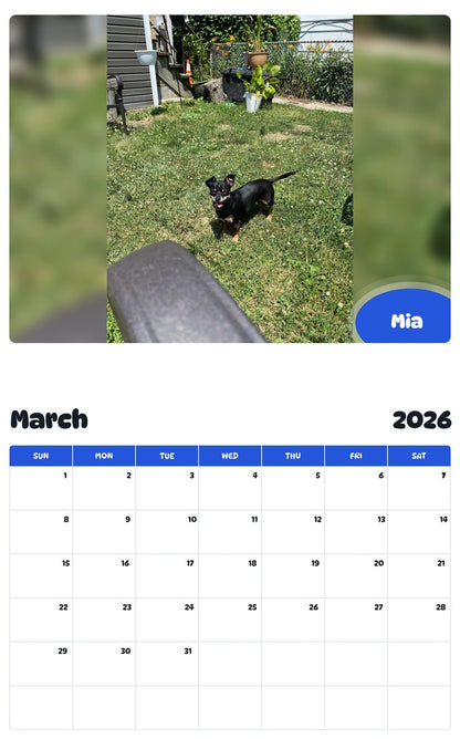 November 2025 - October 2026 Mia - Pawidols Pet Calendar