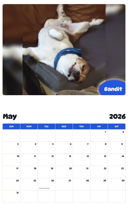2026 - 2027 Bandit - Pawidols Pet Calendar